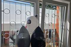 IMG-20260524-WA0018